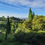 Myhomereservation Flores Daqui Sintra