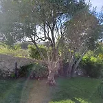 Myhomereservation Flores Daqui Sintra * كولاريس