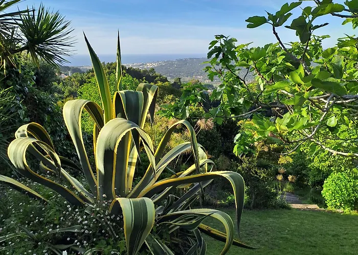 Refugio Floral De - Sintra Colares