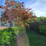 Dağ evi Myhomereservation Flores Daqui Sintra Colares