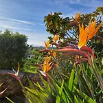 Dağ evi Myhomereservation Flores Daqui Sintra