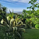 Myhomereservation Flores Daqui Sintra Colares