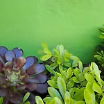 Dağ evi Myhomereservation Flores Daqui Sintra Colares