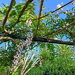 Myhomereservation Flores Daqui Sintra * Colares
