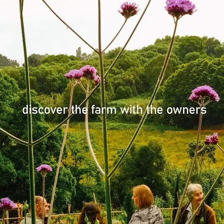 Myhomereservation Flores Daqui Sintra * Colares