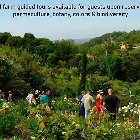 Alpehytte Myhomereservation Flores Daqui Sintra *