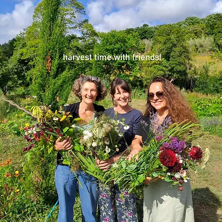 Myhomereservation Flores Daqui Sintra *