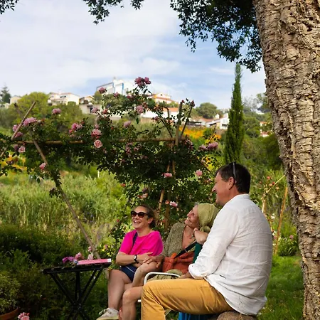 Alpehytte Myhomereservation Flores Daqui Sintra *
