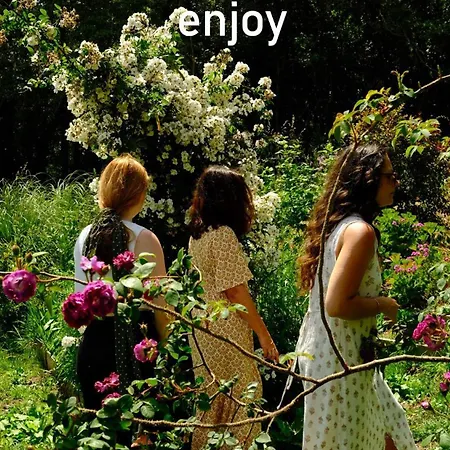 Myhomereservation Flores Daqui Sintra Colares
