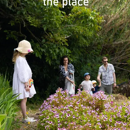 Alpehytte Myhomereservation Flores Daqui Sintra