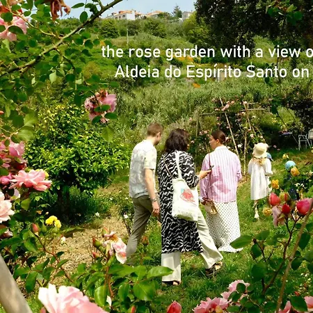 Myhomereservation Flores Daqui Sintra * Colares