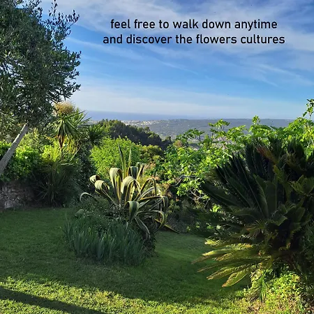 Myhomereservation Flores Daqui Sintra * Colares