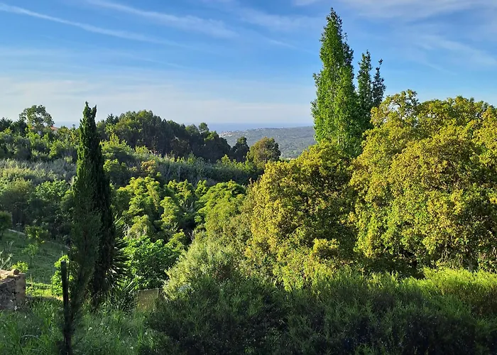 Refugio Floral De - Sintra