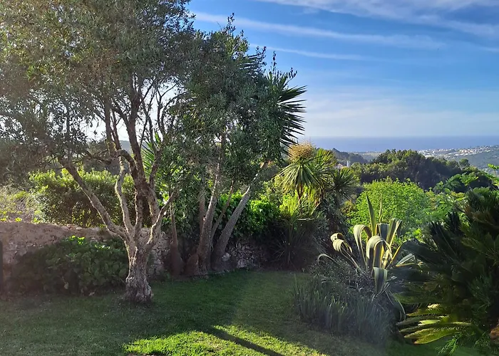 Chalet Refugio Floral De - Sintra