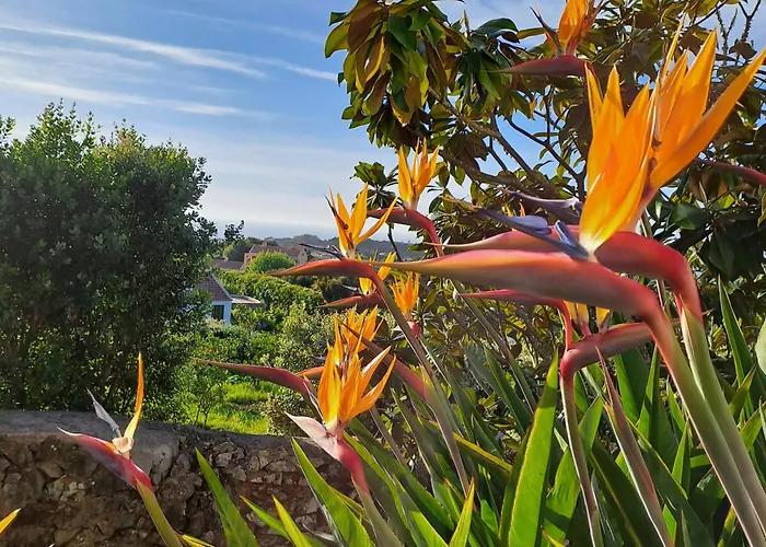Chalet Refugio Floral De - Sintra